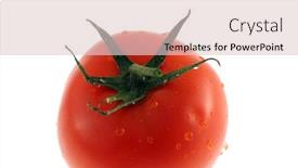  Presentation with tomato - Presentation with isolated-tomato-on-a-white background and a lemonade colored foreground