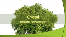  Presentation with oak tree - PPT theme featuring isolated tree against a white background and a tawny brown colored foreground