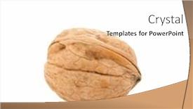  Presentation with walnut - PPT layouts consisting of isolated walnut background and a white colored foreground