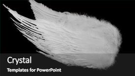  Presentation with angel wings - Cool new slide set with isolated white angel wings backdrop and a dark gray colored foreground