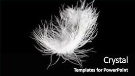  Presentation with feather - PPT layouts having isolated white feather falling background and a black colored foreground