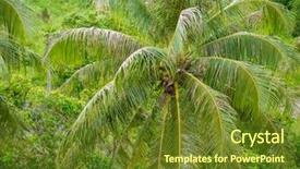  Presentation with jungle - Cool new PPT theme with isotonic - coconut trees in the jungle backdrop and a tawny brown colored foreground