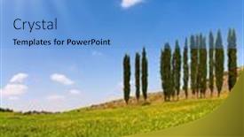  Presentation with sun desert - Amazing slides having israel-fields-of-flowers backdrop and a teal colored foreground