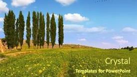  Presentation with sun desert - Slide deck with israel-fields-of-flowers background and a tawny brown colored foreground