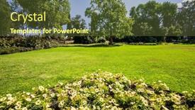  Presentation with green botanical - Audience pleasing slide set consisting of israel-great-walk backdrop and a tawny brown colored foreground