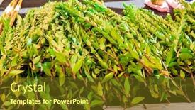  Presentation with israel - Presentation theme with israel-jerusalem-myrtle-branches-stacked background and a  colored foreground