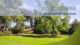  Presentation with green botanical - Cool new slide deck with israel-large-green-grassy-meadow backdrop and a light blue colored foreground