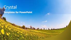  Presentation with sun desert - Amazing PPT theme having israel-negev-desert-triangular-flock backdrop and a teal colored foreground