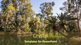  Presentation with baptism - Colorful presentation enhanced with israel-the-fine-winter-sunny backdrop and a tawny brown colored foreground