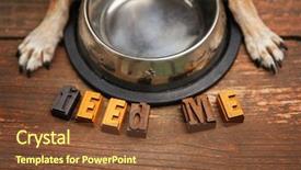  Presentation with dog food - Audience pleasing presentation theme consisting of it for dinner time backdrop and a tawny brown colored foreground