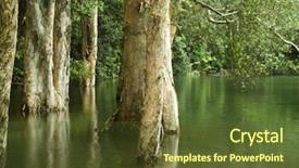  Presentation with spring water - PPT theme featuring it is some tree in water in spring background and a tawny brown colored foreground