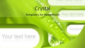  Presentation with grass texture on green - Presentation theme having it perfect to place text background and a  colored foreground