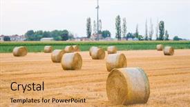  Presentation with italian - Colorful presentation theme enhanced with italian landscape with hay roll backdrop and a yellow colored foreground