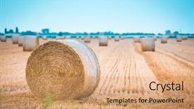  Presentation with italian - Cool new PPT layouts with italian landscape with hay roll backdrop and a coral colored foreground