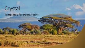  Presentation with savanna - Amazing PPT theme having raw pasta on wooden background backdrop and a lemonade colored foreground