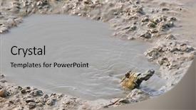  Presentation with predators - Amazing PPT layouts having its mouth they use backdrop and a light gray colored foreground