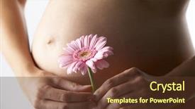  Presentation with gerbera daisy pink flower - Presentation theme with ivf - pregnant woman holding pink gerbera background and a tawny brown colored foreground