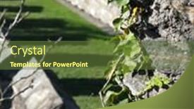  Presentation with ivy - Audience pleasing presentation theme consisting of ivy-bush-on-an-ancient backdrop and a tawny brown colored foreground