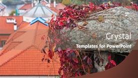  Presentation with ivy - Colorful PPT layouts enhanced with ivy close up overlooking tiled roofs backdrop and a gray colored foreground