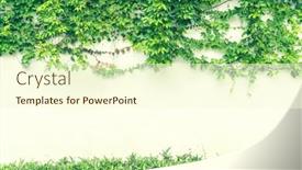  Presentation with ivy - PPT theme featuring ivy-covered-fence-white-background background and a cream colored foreground