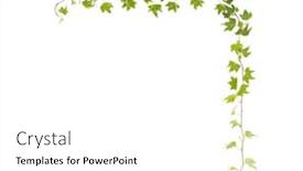  Presentation with ivy - Presentation theme having ivy-isolated-on-a-white background and a white colored foreground