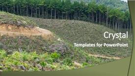  Presentation with forest - Amazing presentation theme having ivy leage - forest and field backdrop and a gray colored foreground