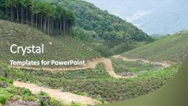  Presentation with meadow - Cool new presentation design with ivy leage - forest and meadow backdrop and a  colored foreground