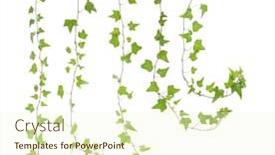  Presentation with ivy - PPT theme enhanced with ivy-leaves-isolated background and a cream colored foreground