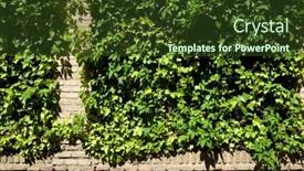  Presentation with vintage interior brick wall - Slide set with ivy-on-a-brick-wall background and a tawny brown colored foreground