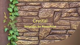  Presentation with nature design - Slide set consisting of ivy-on-an-old-brick background and a violet colored foreground