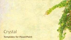  Presentation with antique paper texture - Amazing presentation design having ivy on old grunge antique paper texture backdrop and a cream colored foreground