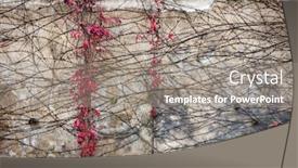  Presentation with ivy - Presentation theme featuring ivy-on-stone-wall-abstract background and a gray colored foreground