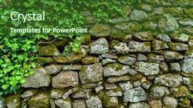  Presentation with ivy - Audience pleasing PPT layouts consisting of ivy on the stone wall backdrop and a forest green colored foreground