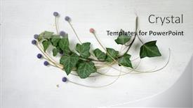  Presentation with wood board - Amazing slide deck having ivy-small-ivy-branch backdrop and a light gray colored foreground