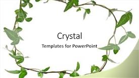  Presentation with frame border - Presentation enhanced with ivy vine - border frame made of green background and a white colored foreground
