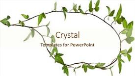  Presentation with frame border - Cool new PPT layouts with ivy vine - border frame made of green backdrop and a cream colored foreground