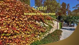  Presentation with red brick wall - Cool new slide deck with ivy-with-red-green-yellow backdrop and a tawny brown colored foreground