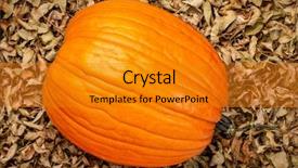  Presentation with multicolored autumn leaves orange yellow red - Colorful slides enhanced with jack fruit - large orange pumpkin against dry backdrop and a gold colored foreground