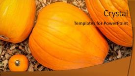  Presentation with orange general - PPT theme with jack fruit - large orange pumpkins and gourd background and a gold colored foreground