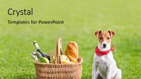  Presentation with picnic - Slide deck consisting of jack fruit - picnic basket on green lawn background and a yellow colored foreground