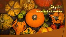  Presentation with thanksgiving - Slides having jack fruit - thanksgiving and halloween pumpkins still background and a tawny brown colored foreground