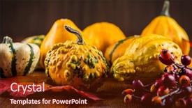  Presentation with halloween pumpkins thanksgiving day - Amazing PPT layouts having jack fruit - thanksgiving and halloween pumpkins still backdrop and a tawny brown colored foreground