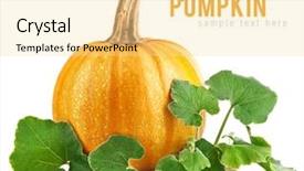  Presentation with yellow leaves of ginkgo biloba - Beautiful theme featuring jack fruit - yellow pumpkin vegetable with green backdrop and a blonde colored foreground