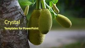  Presentation with fruit tree - PPT theme enhanced with jack fruit growing background and a tawny brown colored foreground