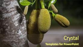  Presentation with growing tree - Colorful slide deck enhanced with jack fruit growing backdrop and a tawny brown colored foreground
