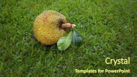  Presentation with fruit - Audience pleasing theme consisting of jack fruit on the green backdrop and a tawny brown colored foreground
