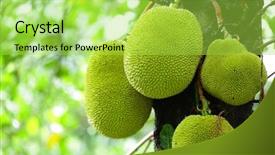  Presentation with fruit - Colorful presentation theme enhanced with jack fruits backdrop and a yellow colored foreground