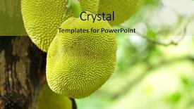  Presentation with fruits - Slide deck with jack fruits background and a gold colored foreground