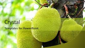  Presentation with fruit - Slide deck having jack fruits background and a yellow colored foreground