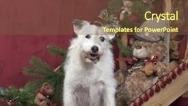  Presentation with russell - Beautiful PPT layouts featuring jack russell in christmas decoration backdrop and a tawny brown colored foreground